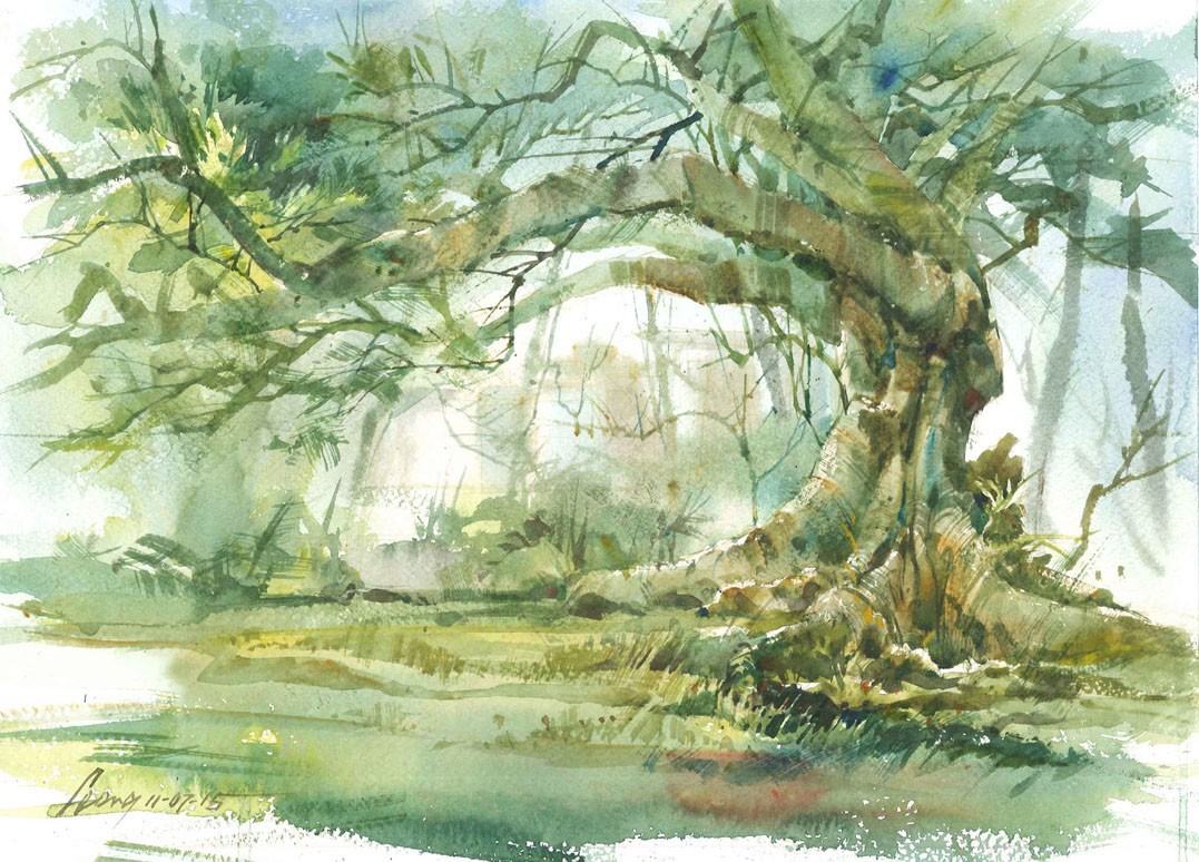 Heritage Tree, Flame of Forest at Fort Canning