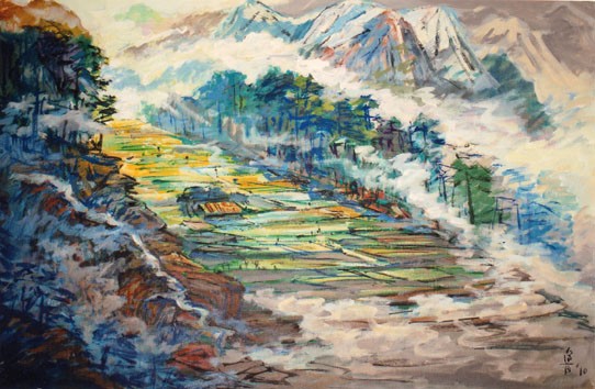 Terrace Fields