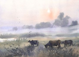 Sun Rise