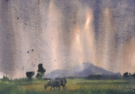 Rain